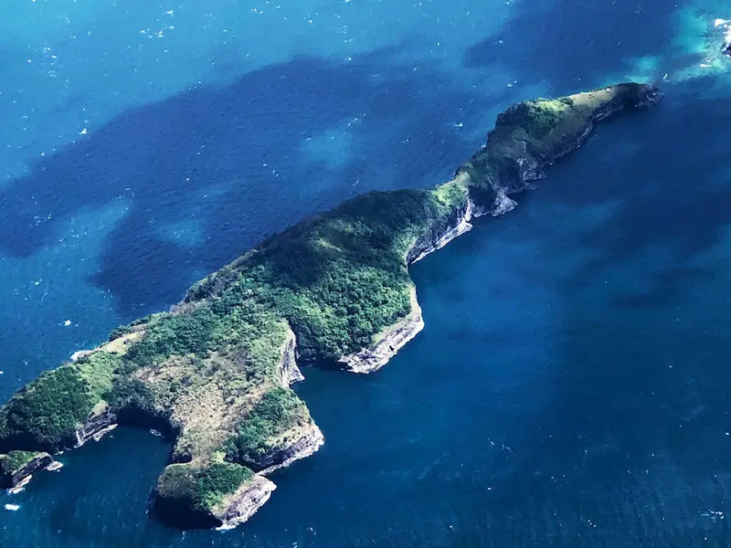 Coastal island aerial view